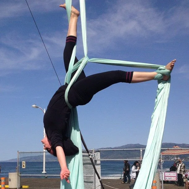 courtney_hoskins_on_silks.jpg