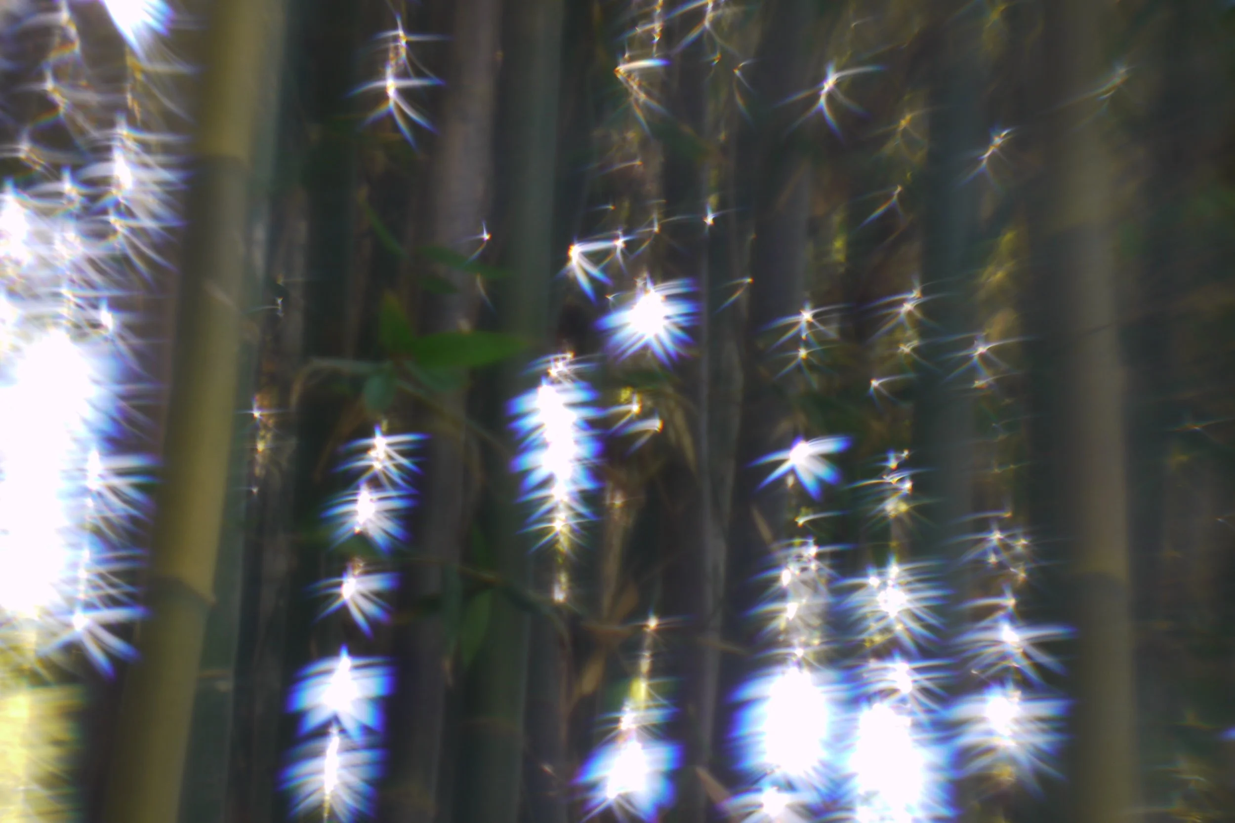 14344844849_08c9d890f8_o.jpg