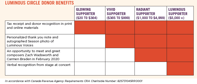 LVMS donor matrix 2019-20.png
