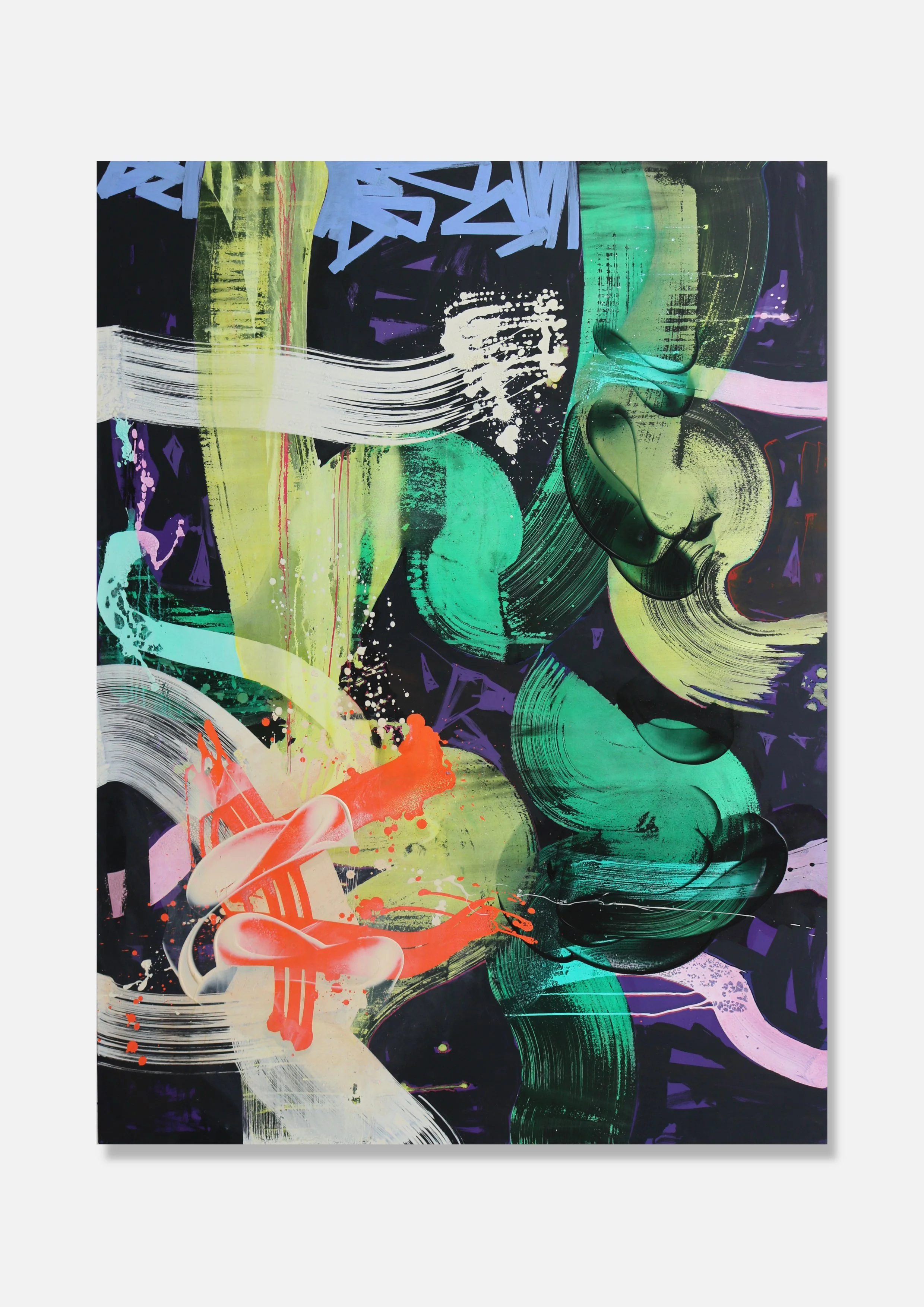 Snapper with shadow.jpeg