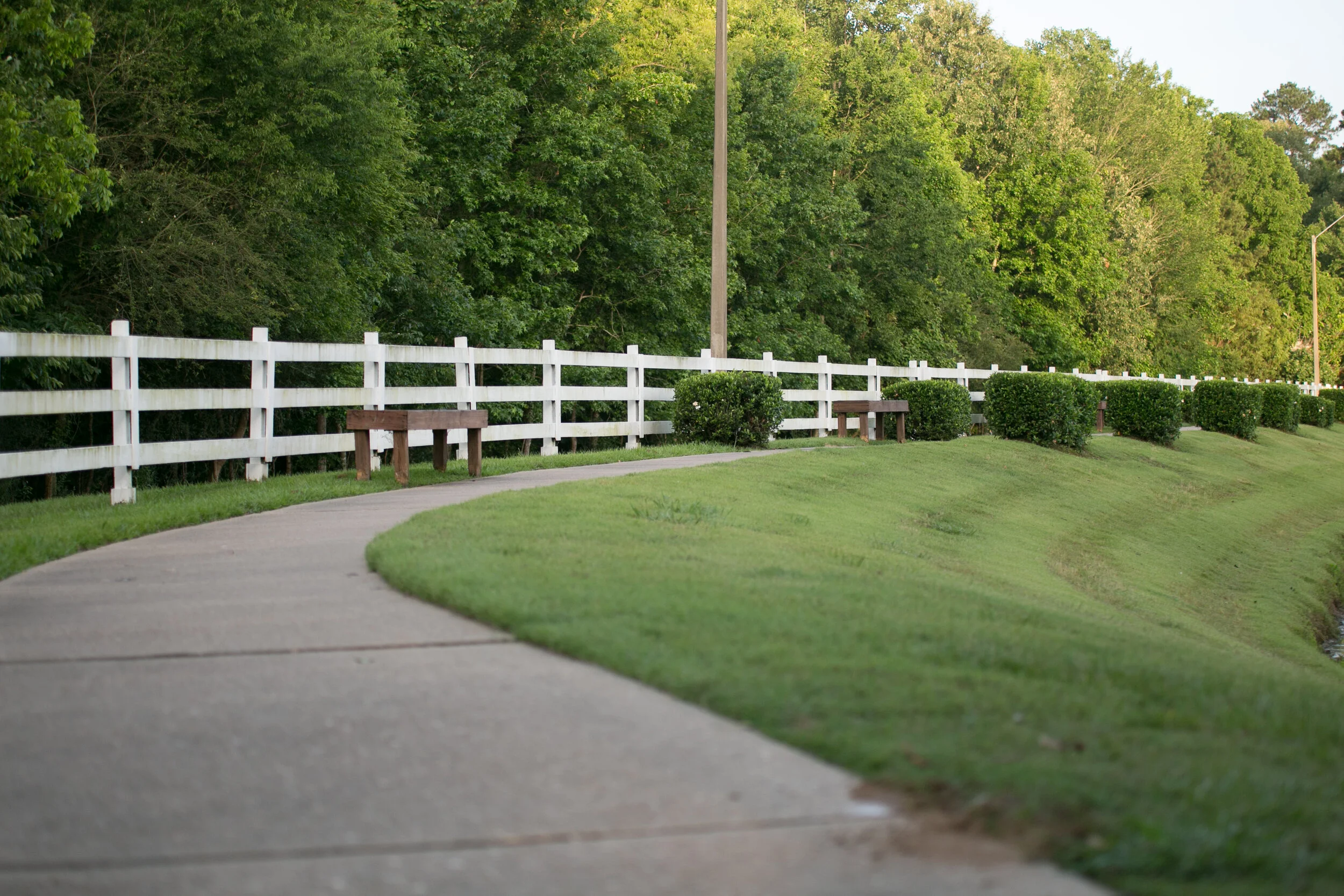 Woodmoor-7.jpg