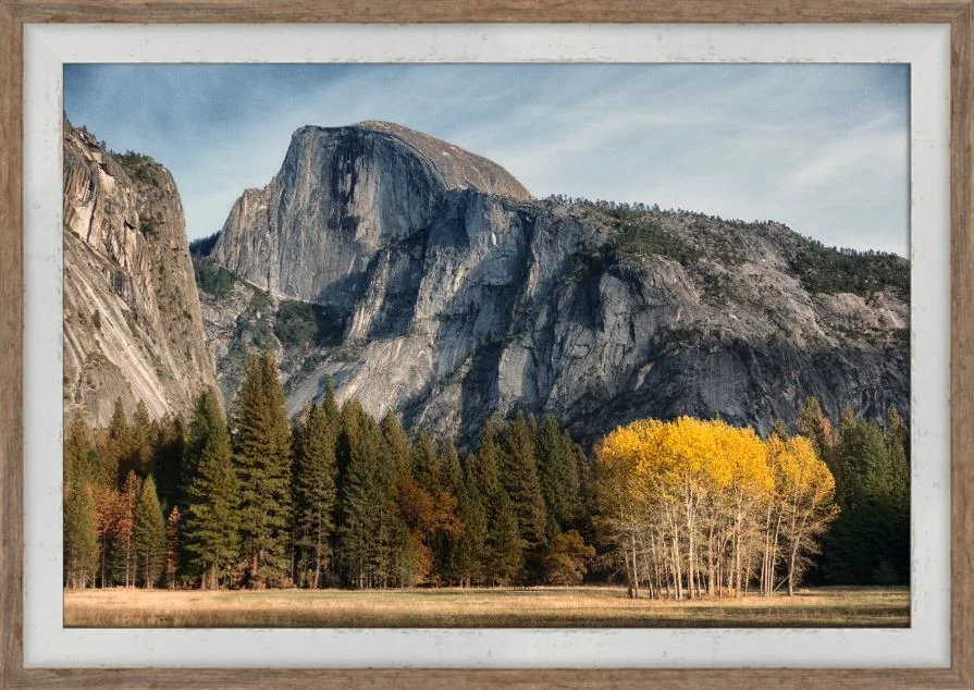 Yosemite Bright Spot - 20" x 30" with 1 1/2" two-tone barnwood frame