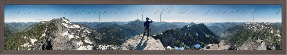 The Tooth Panorama - 5" x 30" display with 5/8" pewter frame