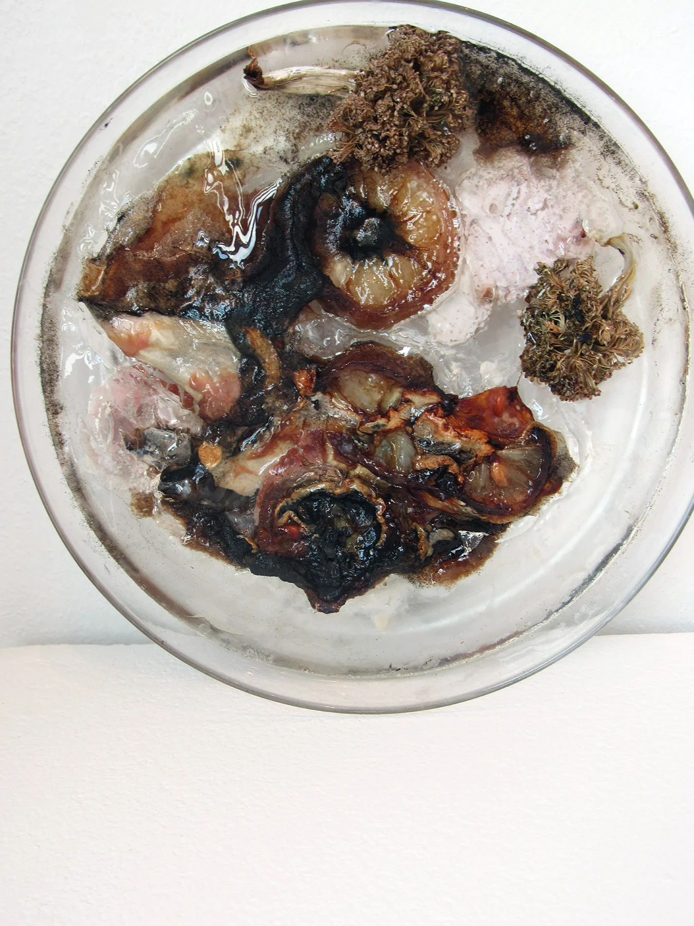 7.Decay experiment.JPG