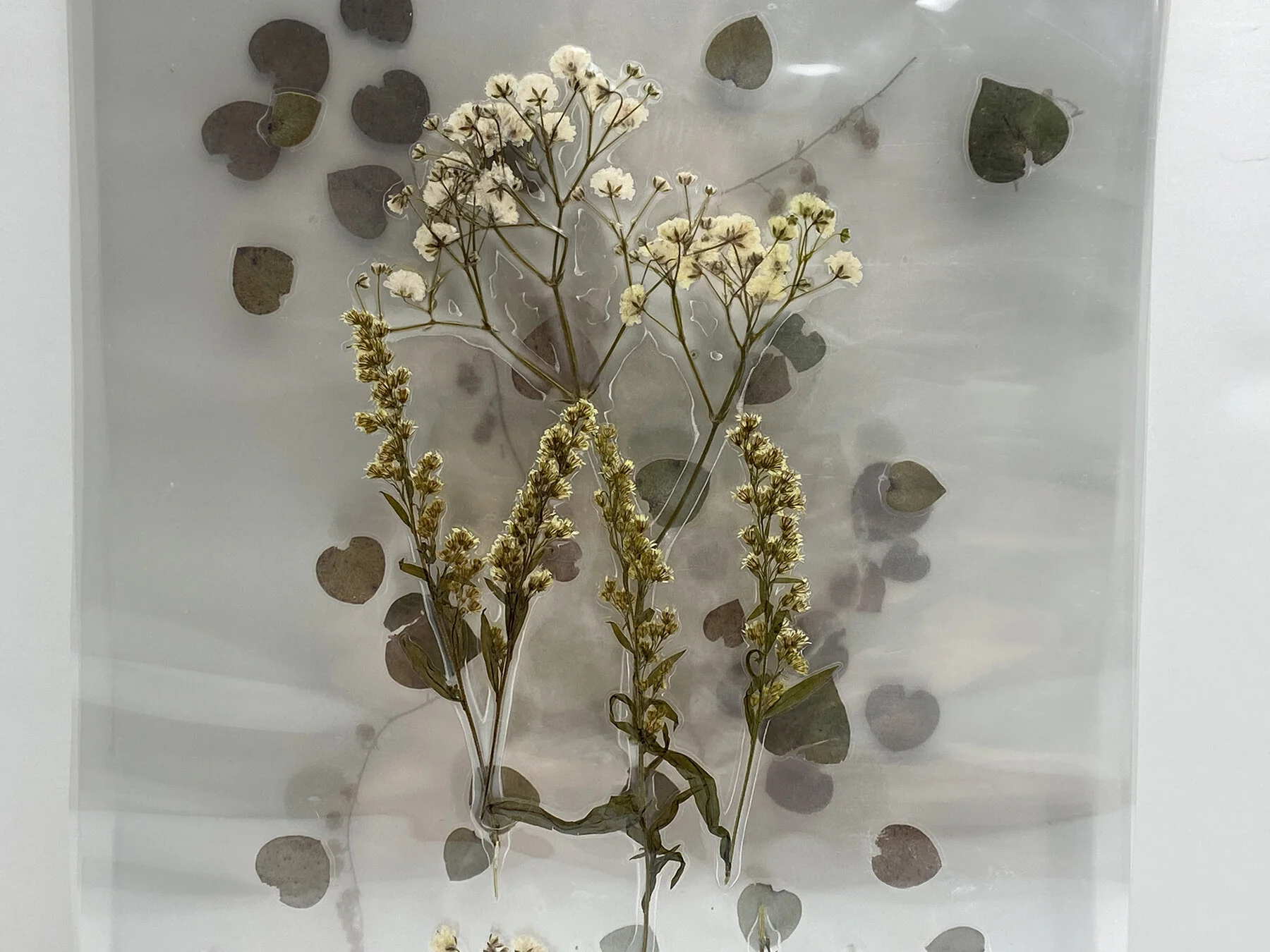 lamination  copy.JPG