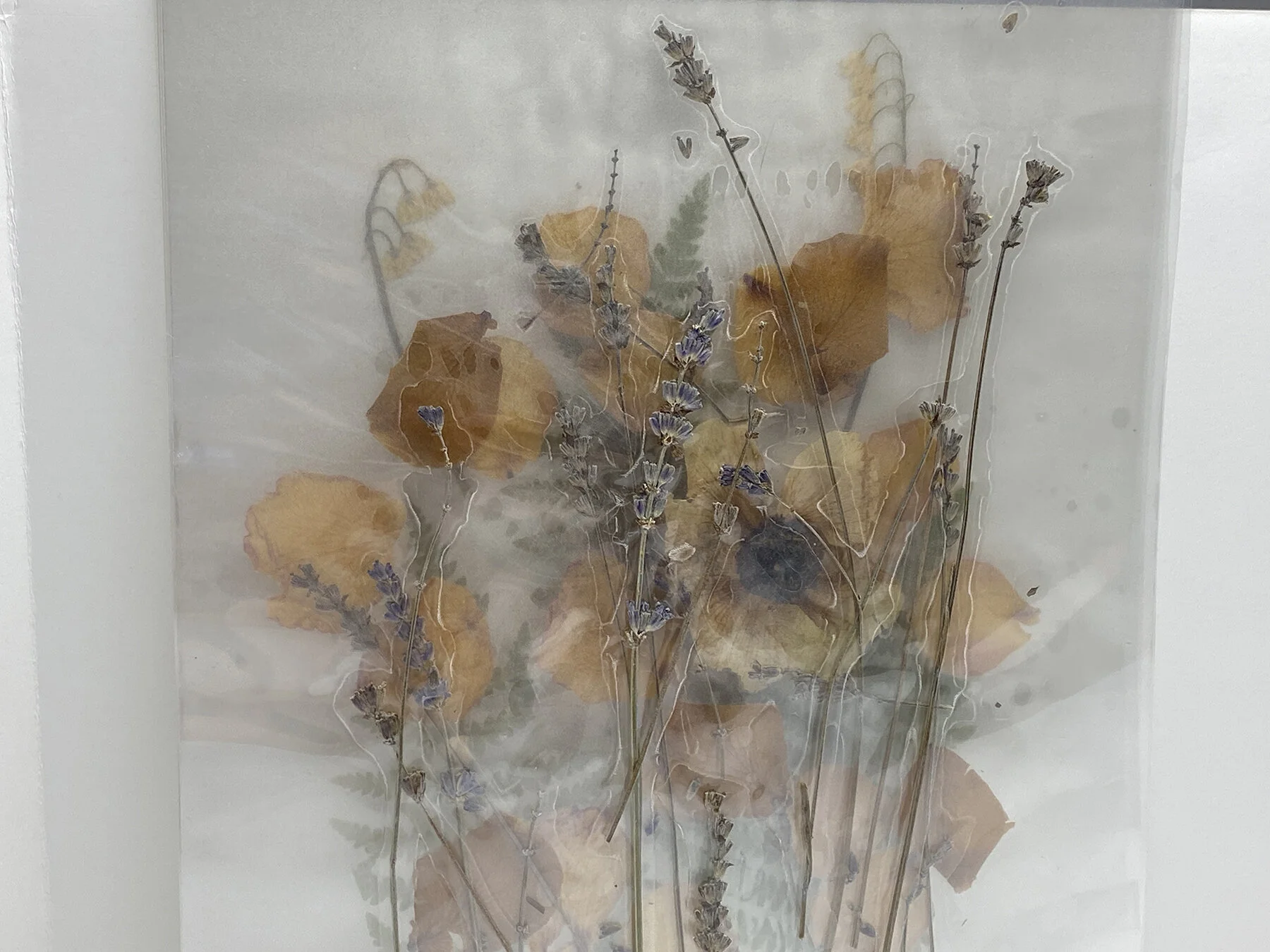 lamination 6 copy.JPG