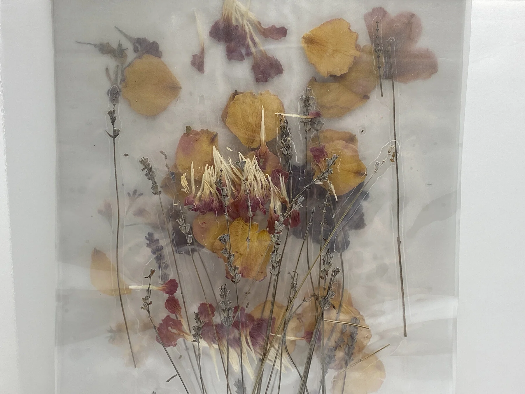 lamination 4 copy.JPG