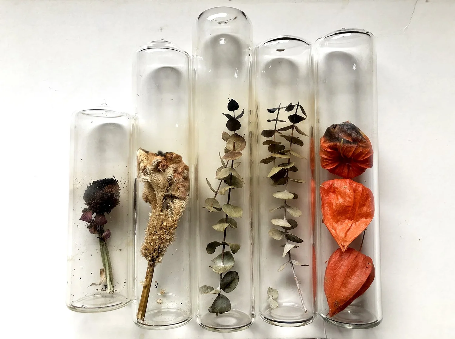 Memoriam Vials.jpg