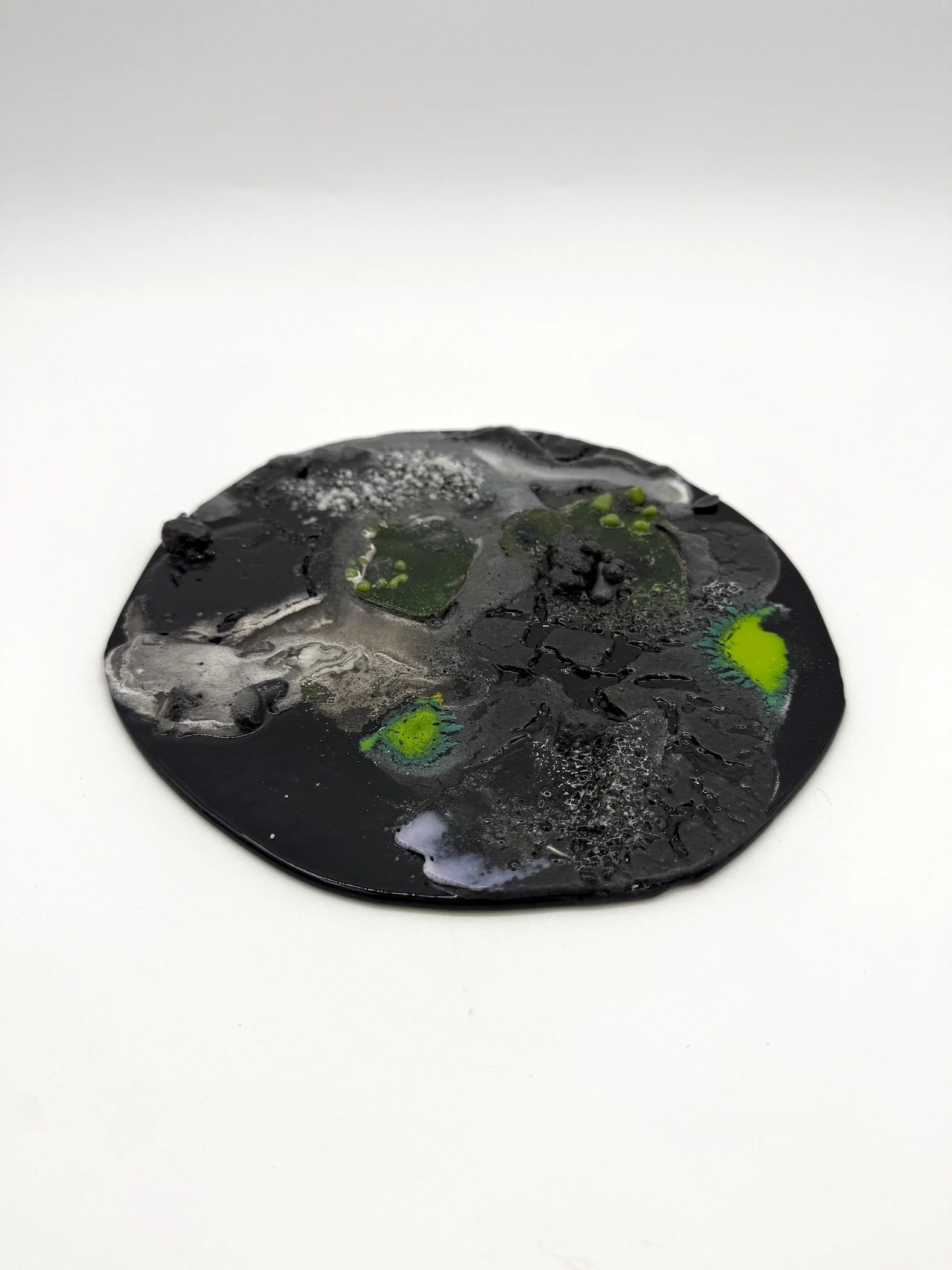 moldy plate 3 copy.jpeg