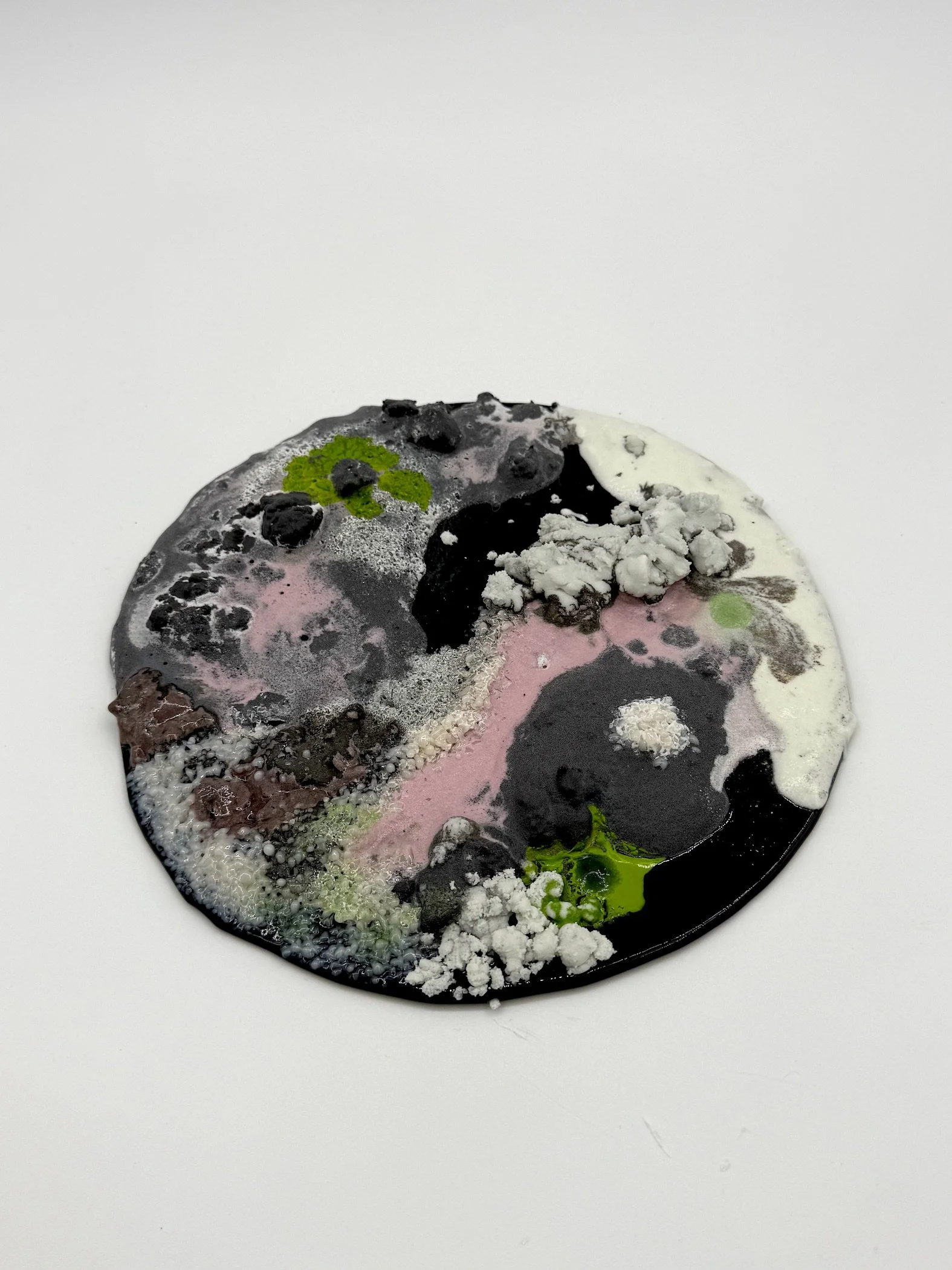 moldy plate 2  copy.jpeg