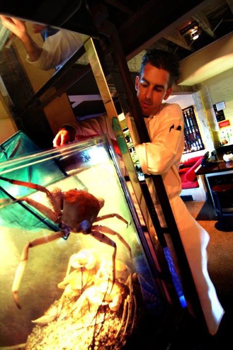 Dean retrieving crab48.JPG