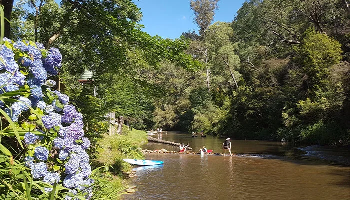 Top Five Winter Camping Destinations In Victoria Projecta