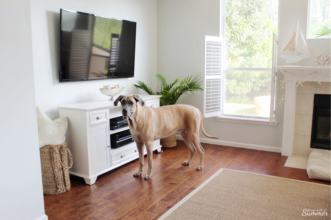 The Best Rugs for Big Dogs (and little ones, too!) — House Full of Summer -  Coastal Home & Lifestyle