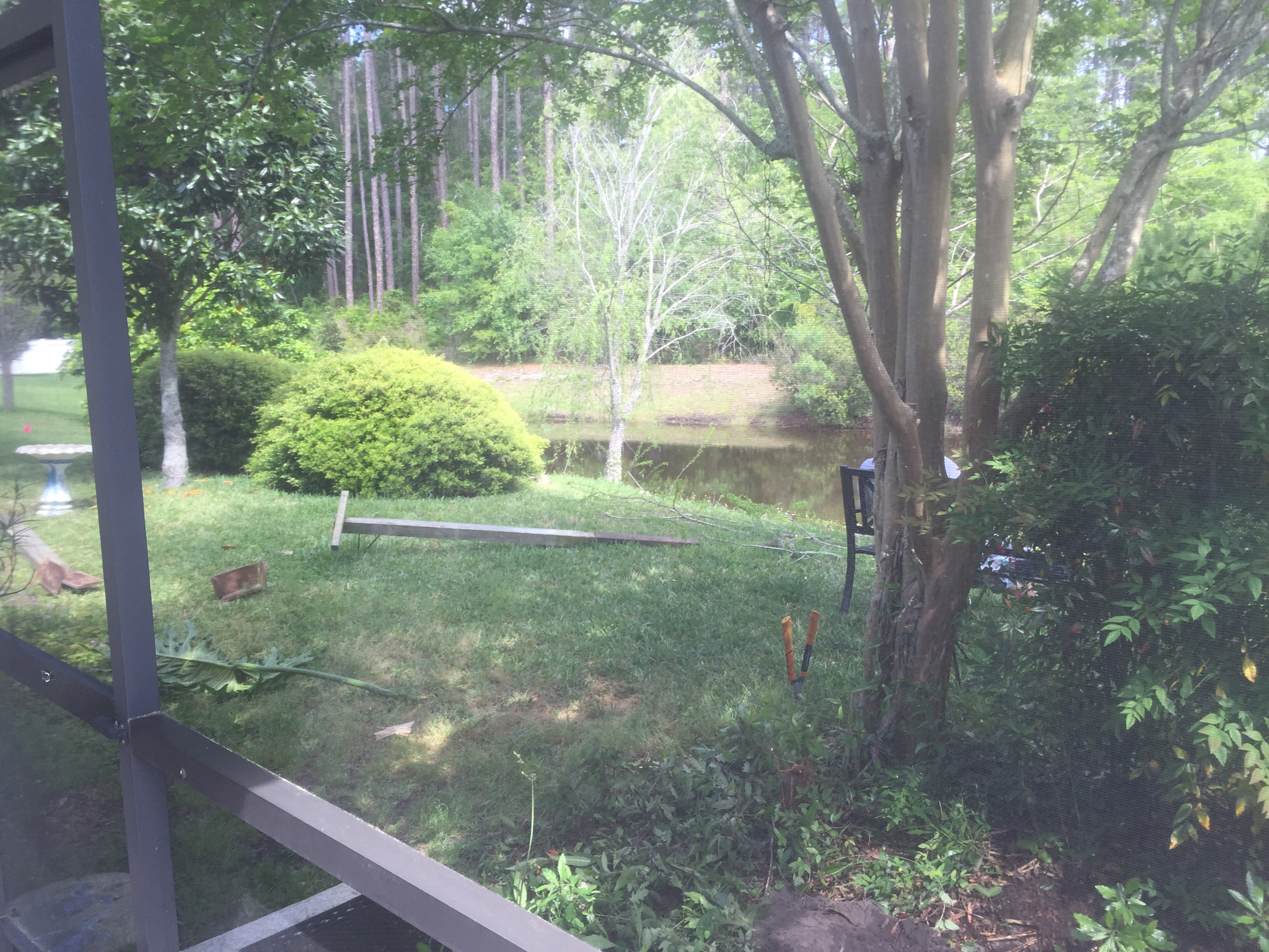 How We Turned Our Boring Backyard Into a Our Own Little Slice of Paradise | House Full of Summer backyard before and afters pool enclosure Florida home water view backyard design, coastal home, overgrown backyard, patio design, pool and pond