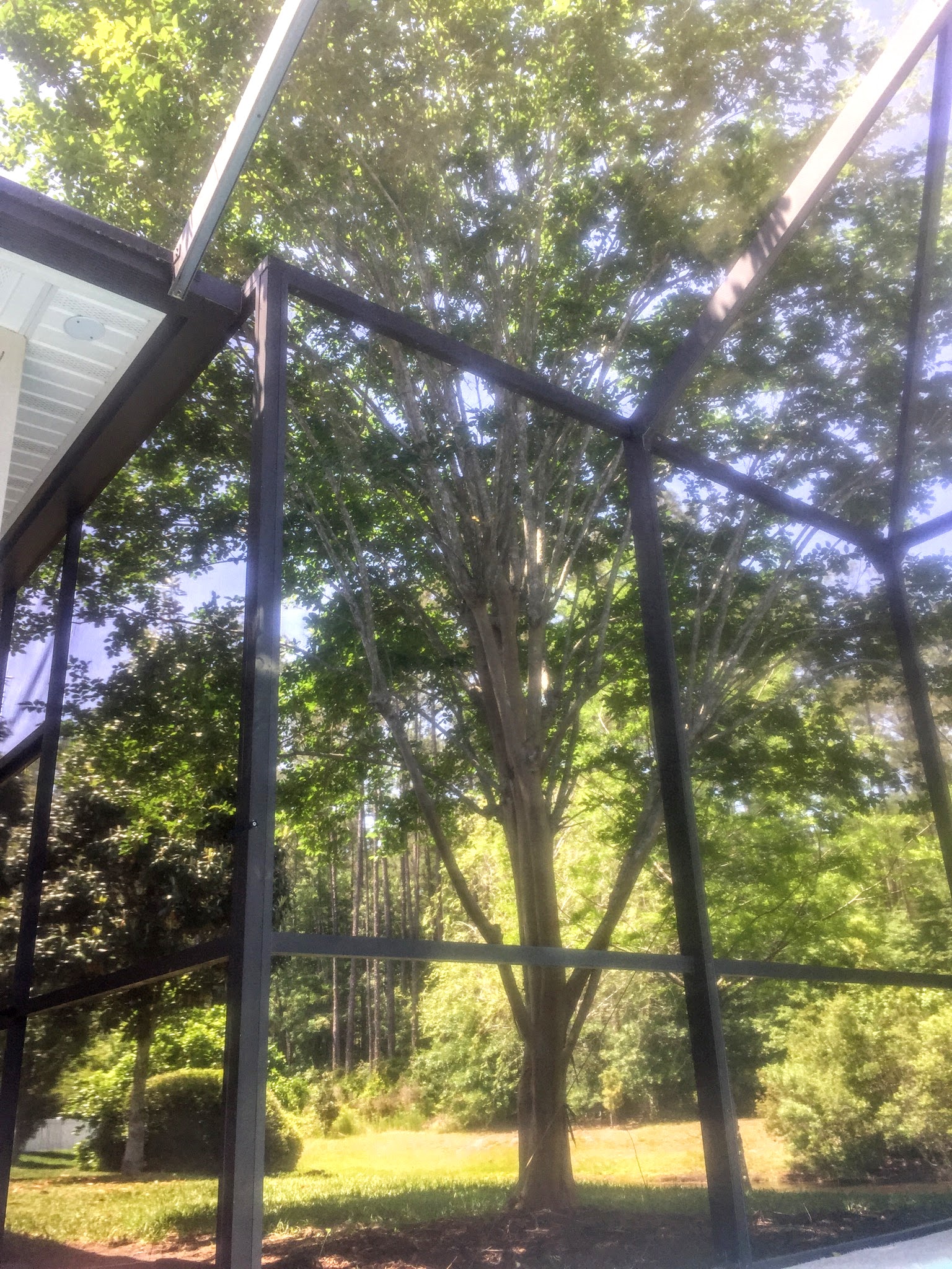 paradise outdoor living forest lake on How We Turned Our Boring Backyard Into Our Own Little Slice Of Paradise House Full Of Summer Coastal Home Lifestyle