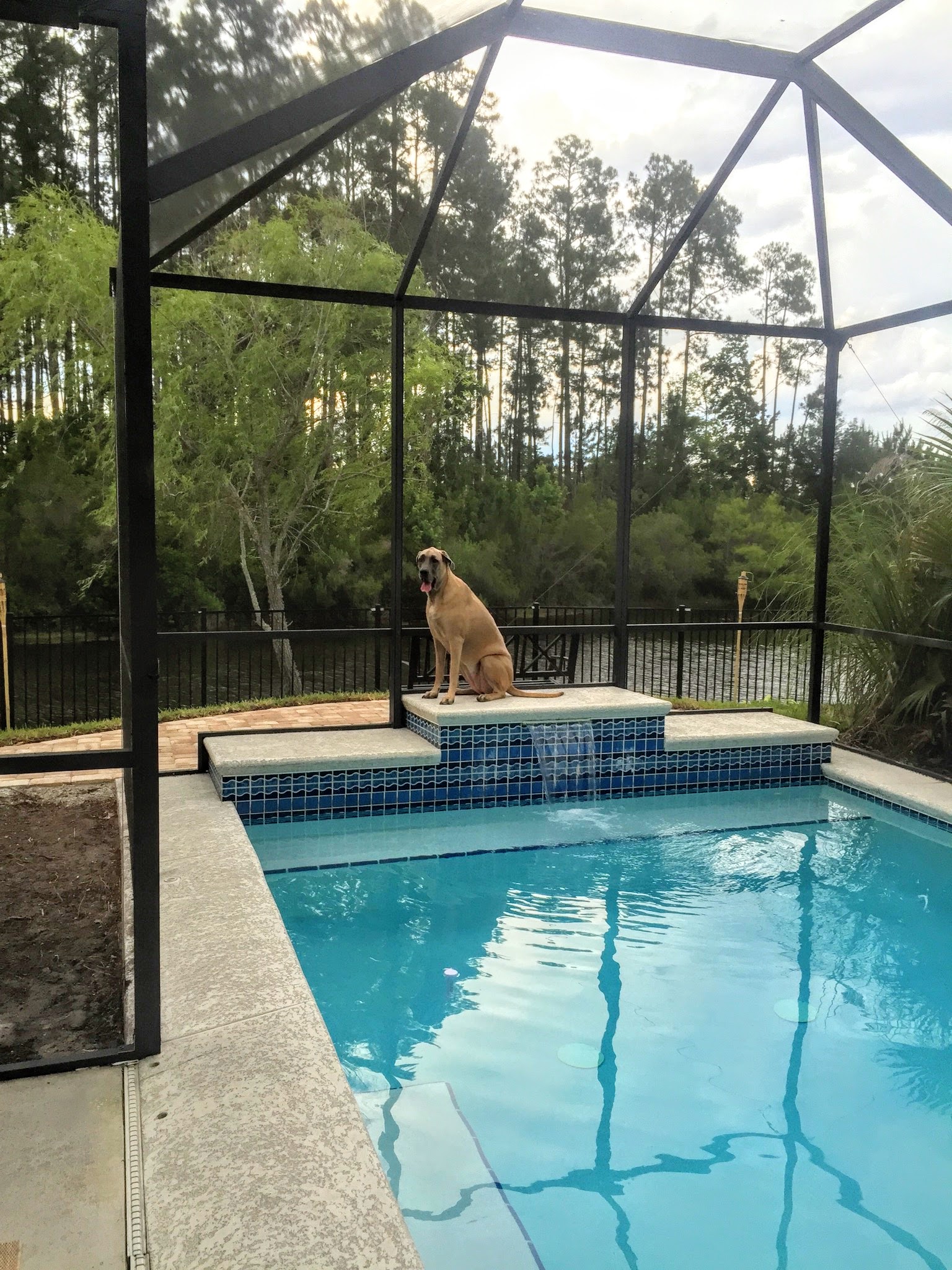 paradise outdoor living forest lake on How We Turned Our Boring Backyard Into Our Own Little Slice Of Paradise House Full Of Summer Coastal Home Lifestyle
