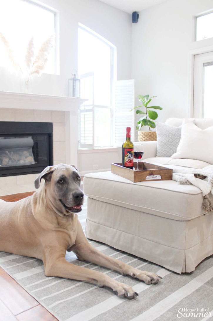The Best Rugs for Big Dogs (and little ones, too!) — House Full of Summer -  Coastal Home & Lifestyle