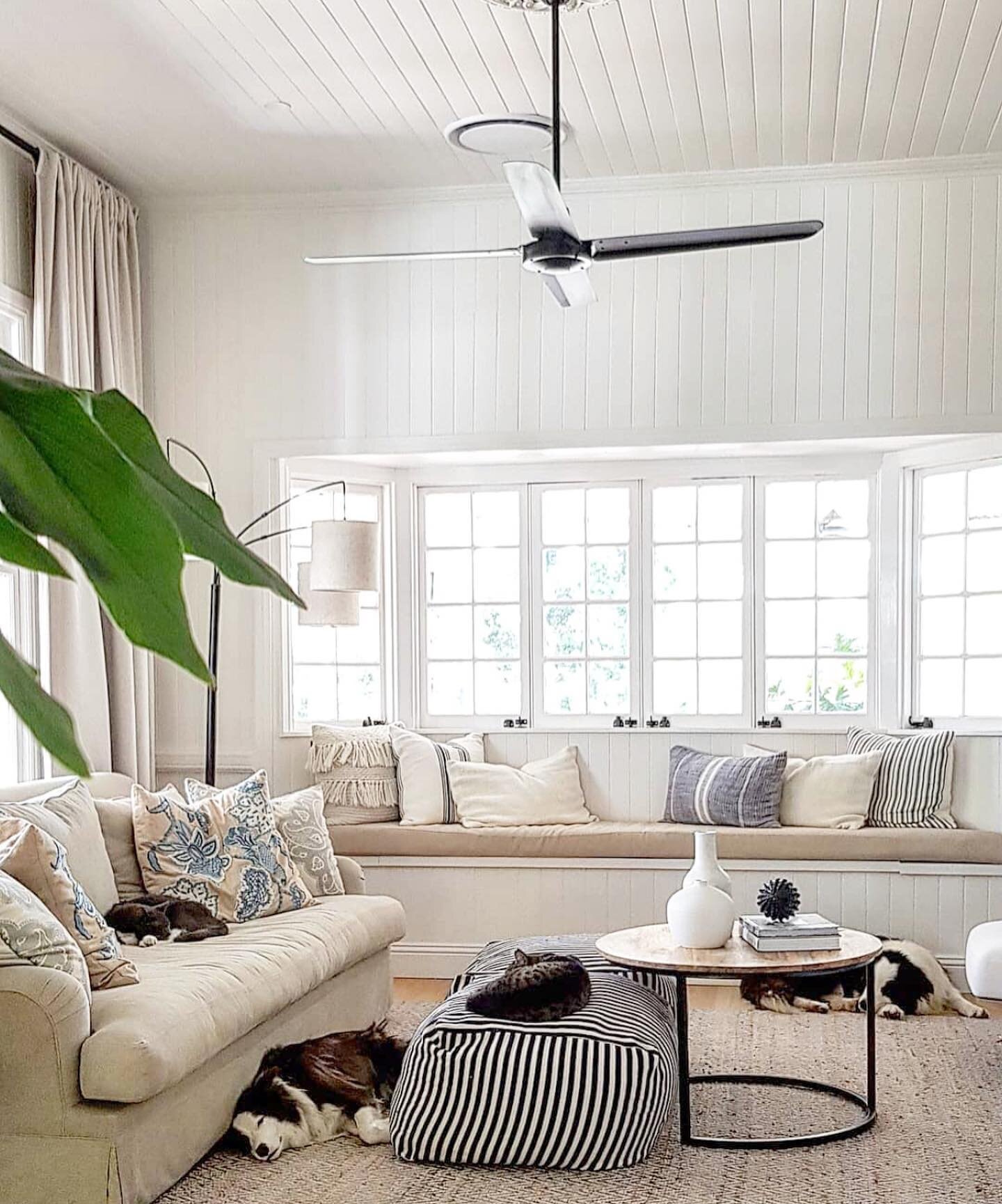 I&rsquo;ve been so amazed at the transformations of this gorgeous Queenslander home since I first found Catherine&rsquo;s @this_old_house52 account! Her whole home is stunning and her sweet fur babies are the cherry on top. 🤗 Go say hi! #FeatureFrid