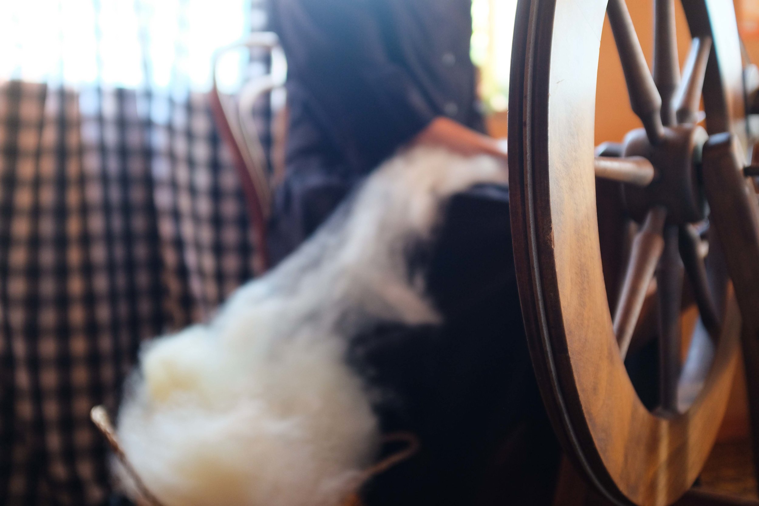 Spinning slaughter free wool in the luca broccolini studio.jpg