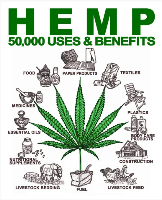 hemp.products.png