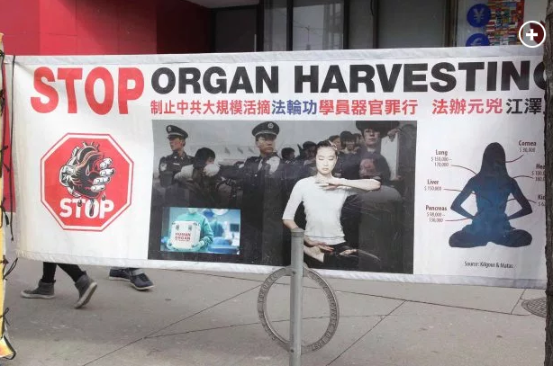 2019-06-30 03_11_31-The ugly truth about China's organ harvesting - Brave.png