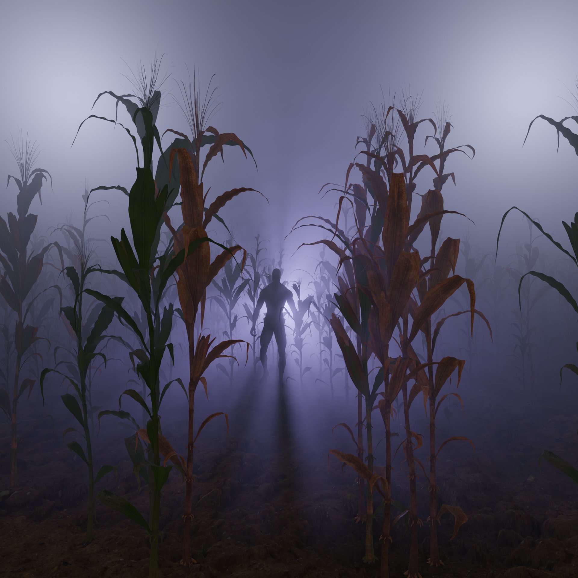 CORNFIELD2.jpg