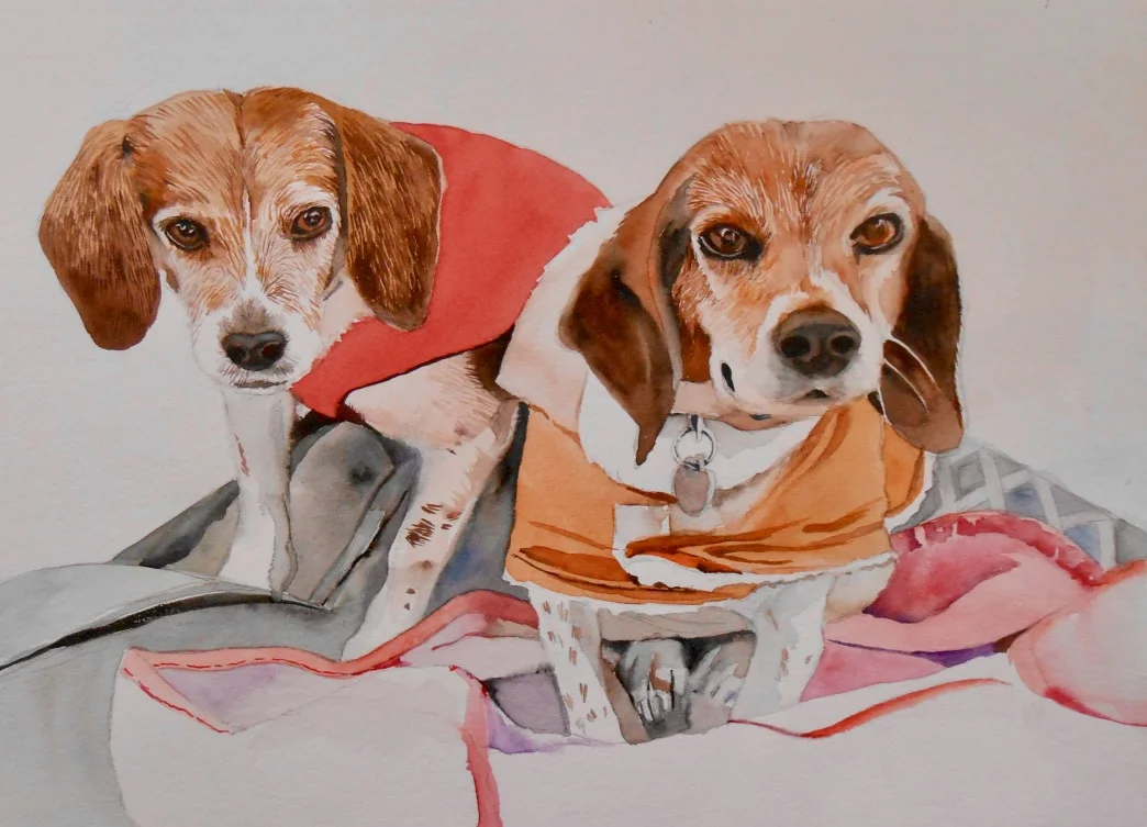 Beagles