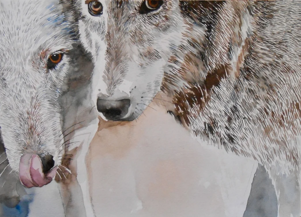 Two Wolves.jpg