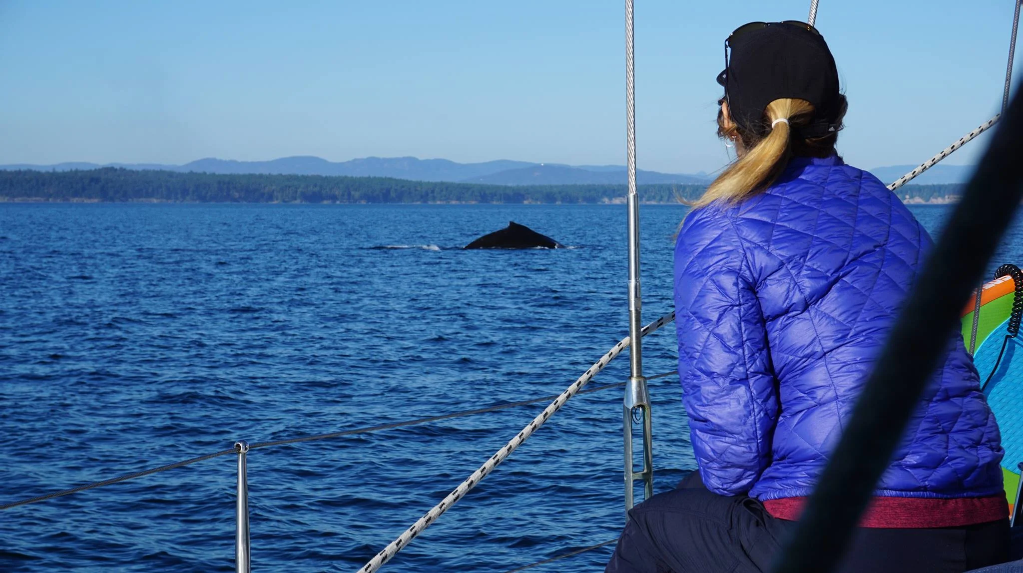 Russert Anniversary Charter