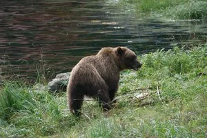 25% Reservation Deposit ($2992.50)