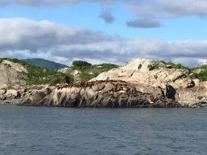 25%  Payment Due Jan 1, 2020 ($2992.50)