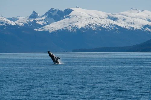 Final Payment Due March 21, 2020 ($5985.00)