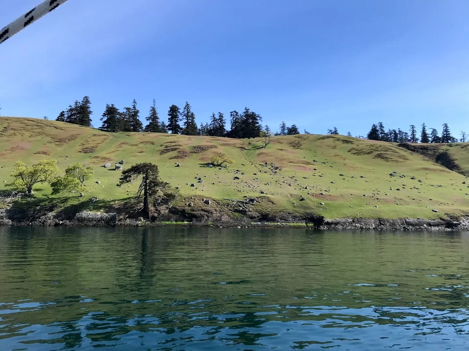 Liz (2 Guests) Oct 28 - Nov 1