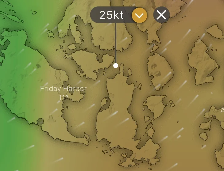 1 Guest, Oct 24-27, 2019