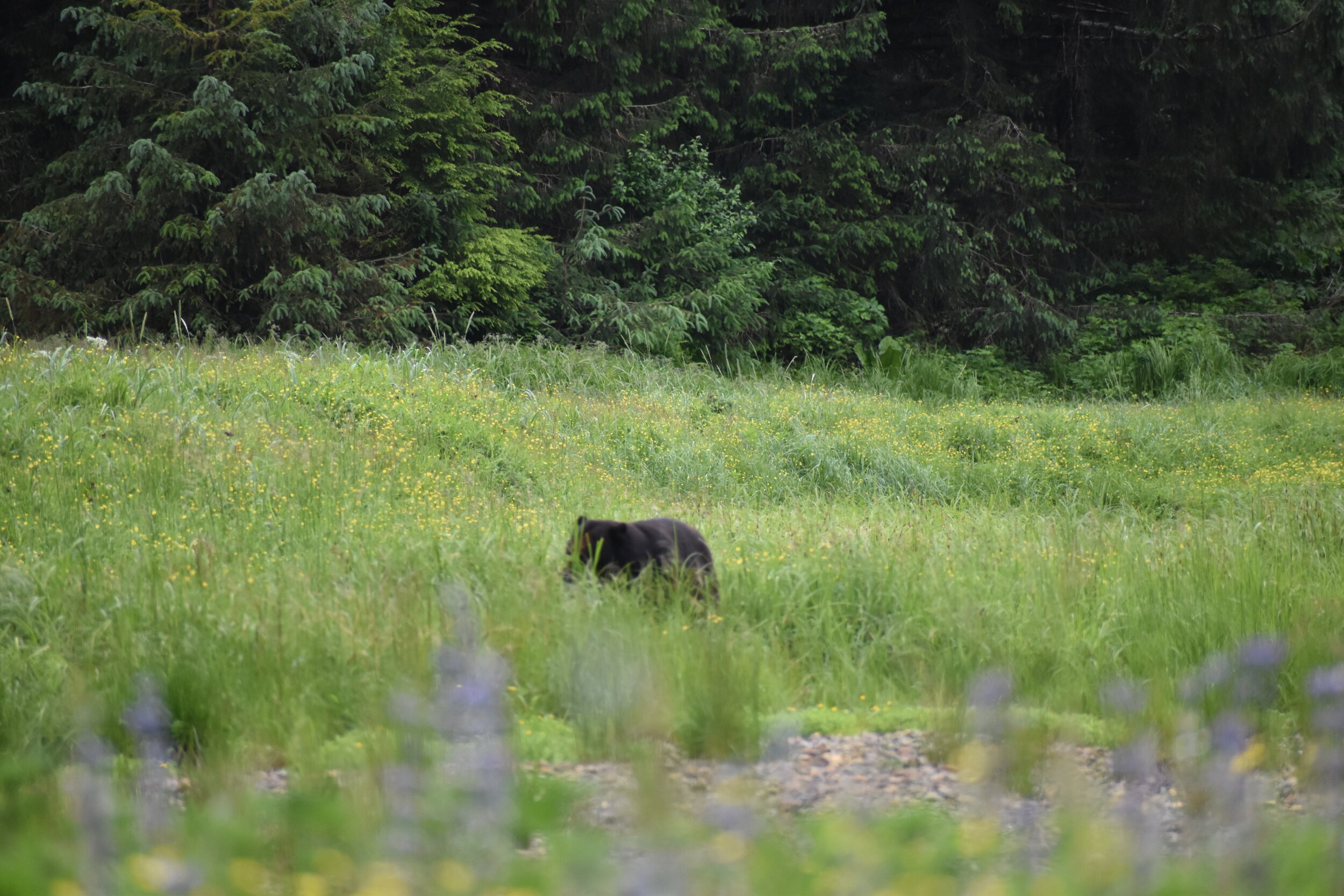 Wirth Family, 25% Deposit Due January 2nd 2022 (180 Days prior to trip)