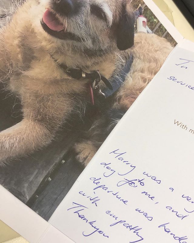 Cards like these make some of the tough times worth it 😭😍