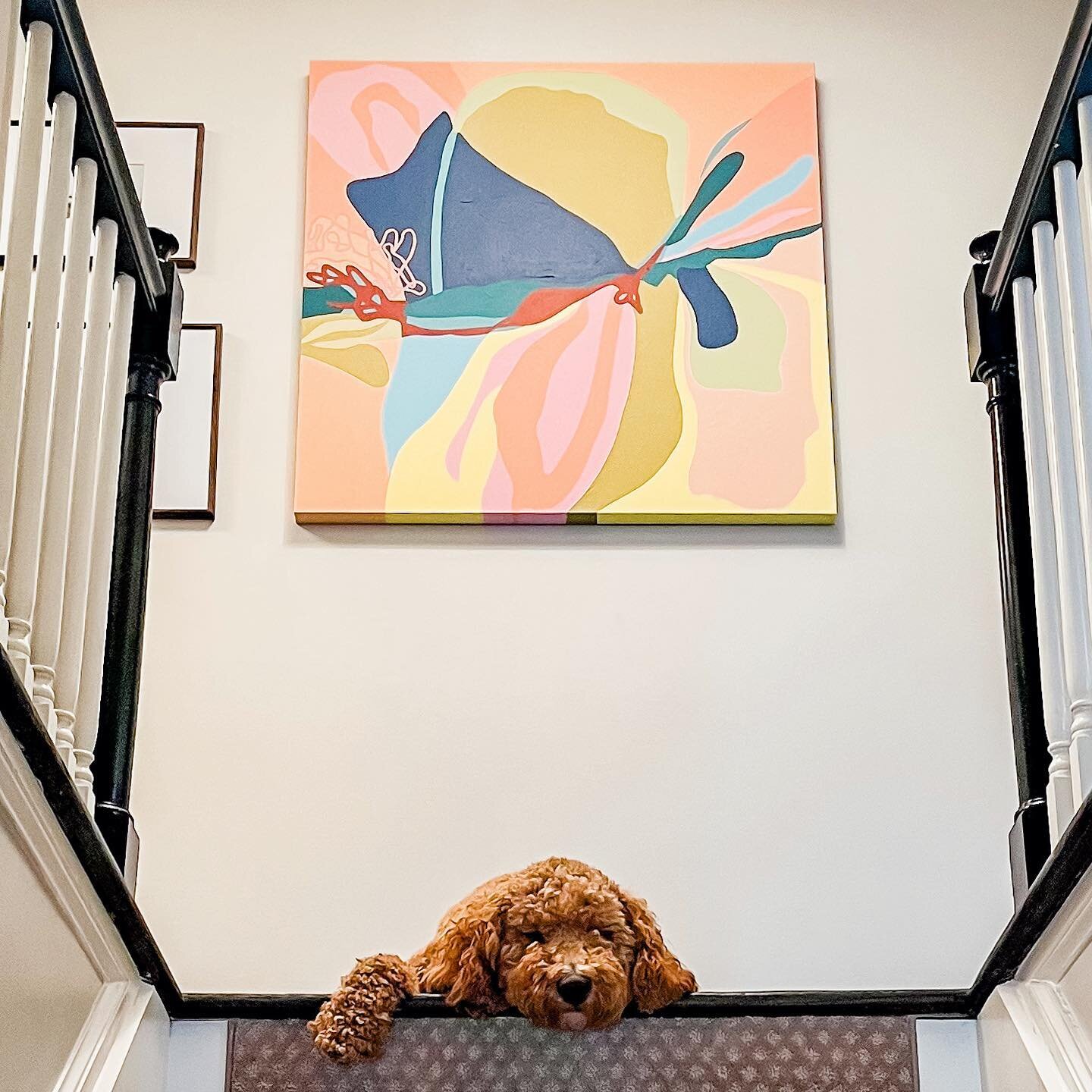 Got to see this beauty in person today (the art and the pup) 🐶 This project has been a fun one, from offices and hallways to kids rooms and bonus spaces! I really do have the best clients and am so thankful they trust my vision for their homes. ❤️🌈