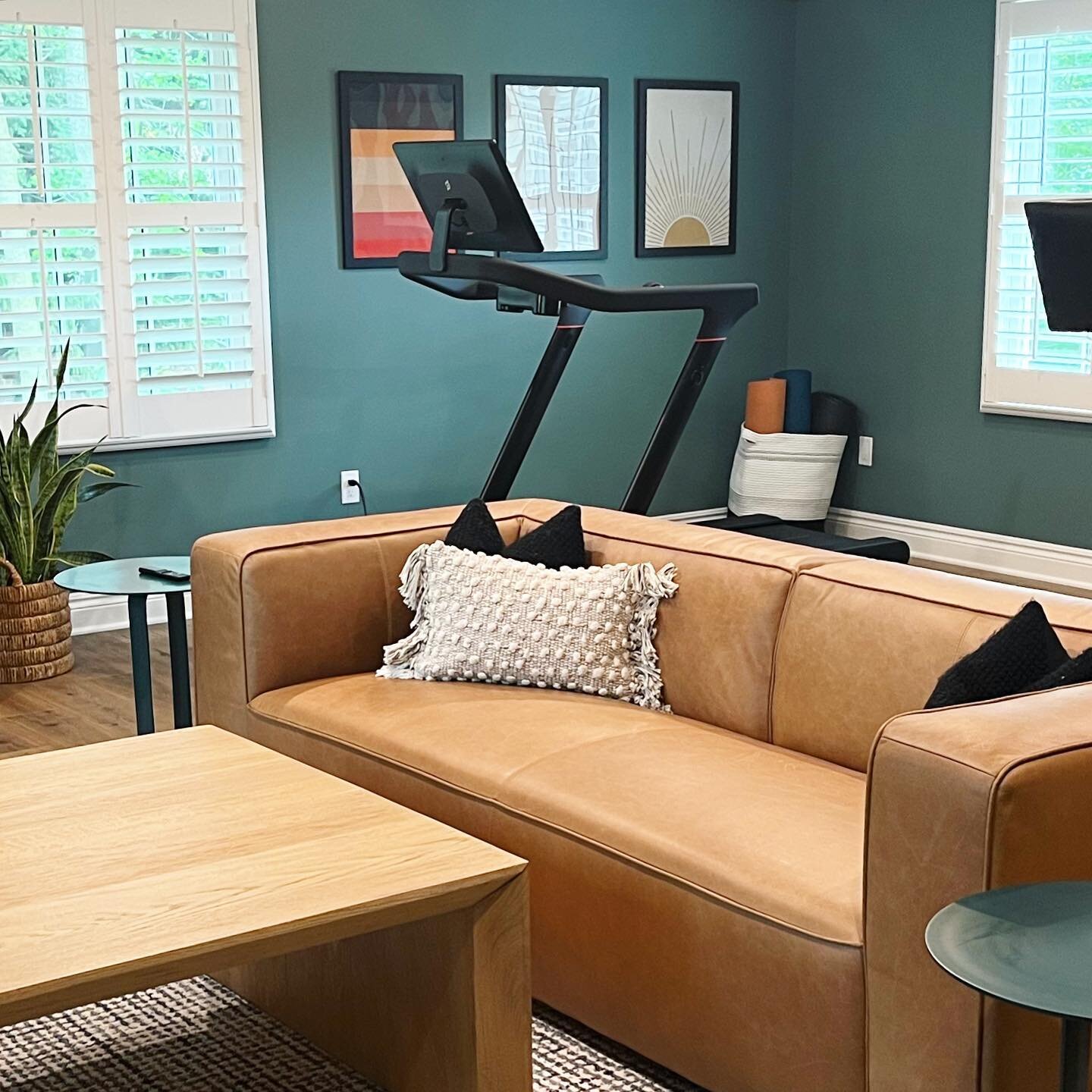 This addition was designed for ALL the things. Gym, home office, kids hang out, you name it. Who ever said you can&rsquo;t have it all?! 

#bonusroom #homeoffice #homegym #leathersofa #modern #peloton #colorfulart #artposter #snakeplant #homeaddition