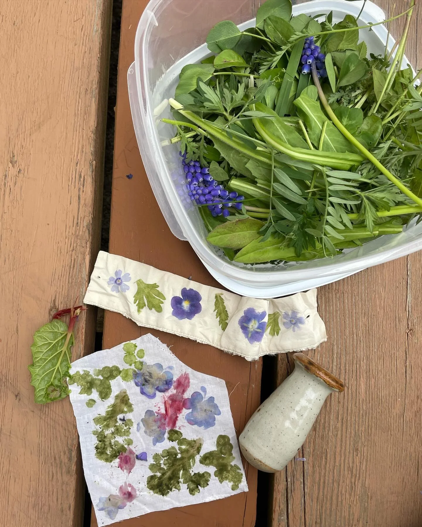 I love flowers and flowers love me 

Prepping for the Found and Foraged workshop at the @katiarttherapy institute
