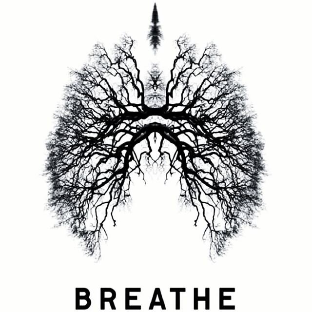 Prayer for today:
#BREATHE
🙏🏾 💫⭐🌬🙏🏾