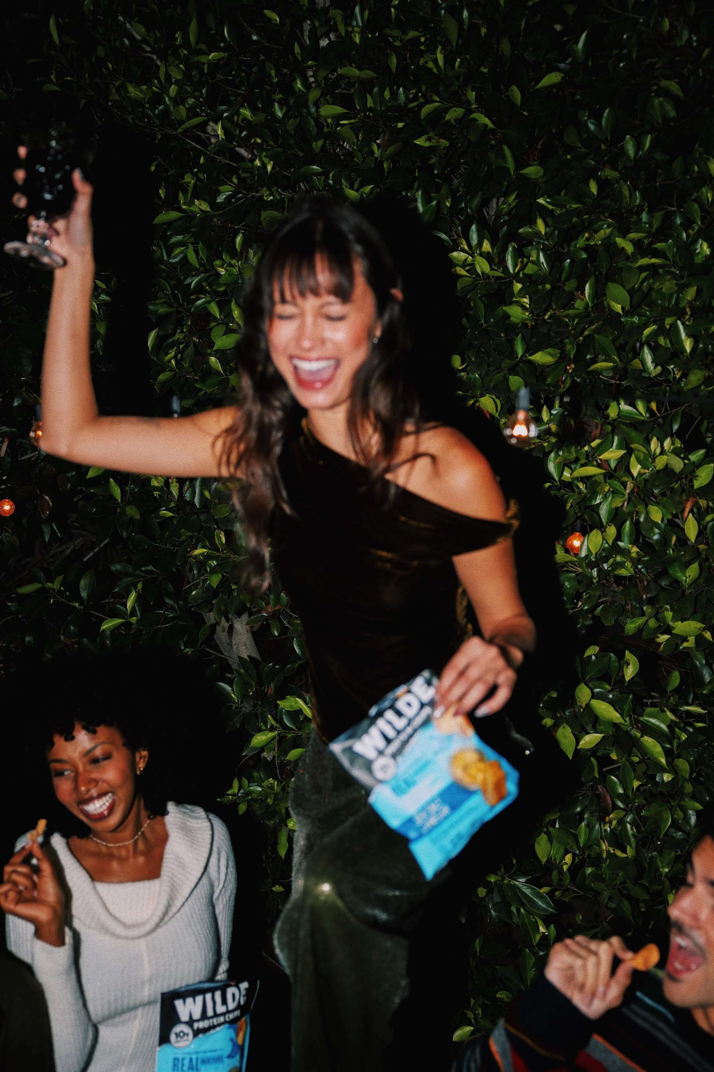 WILDE HOLIDAY 22.JPG