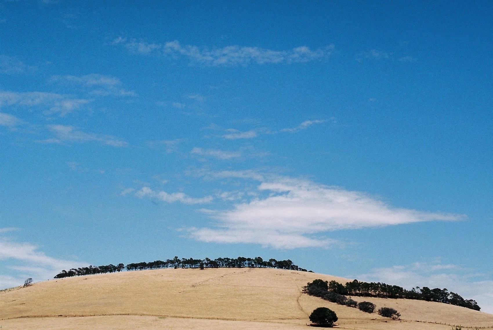 HaleyKigbo_Countryside2.jpg