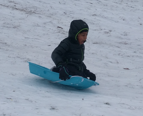 Sledding.png