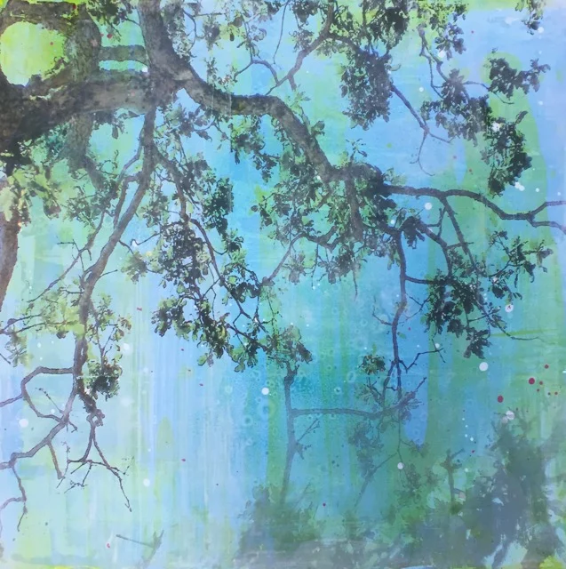Arbutus I