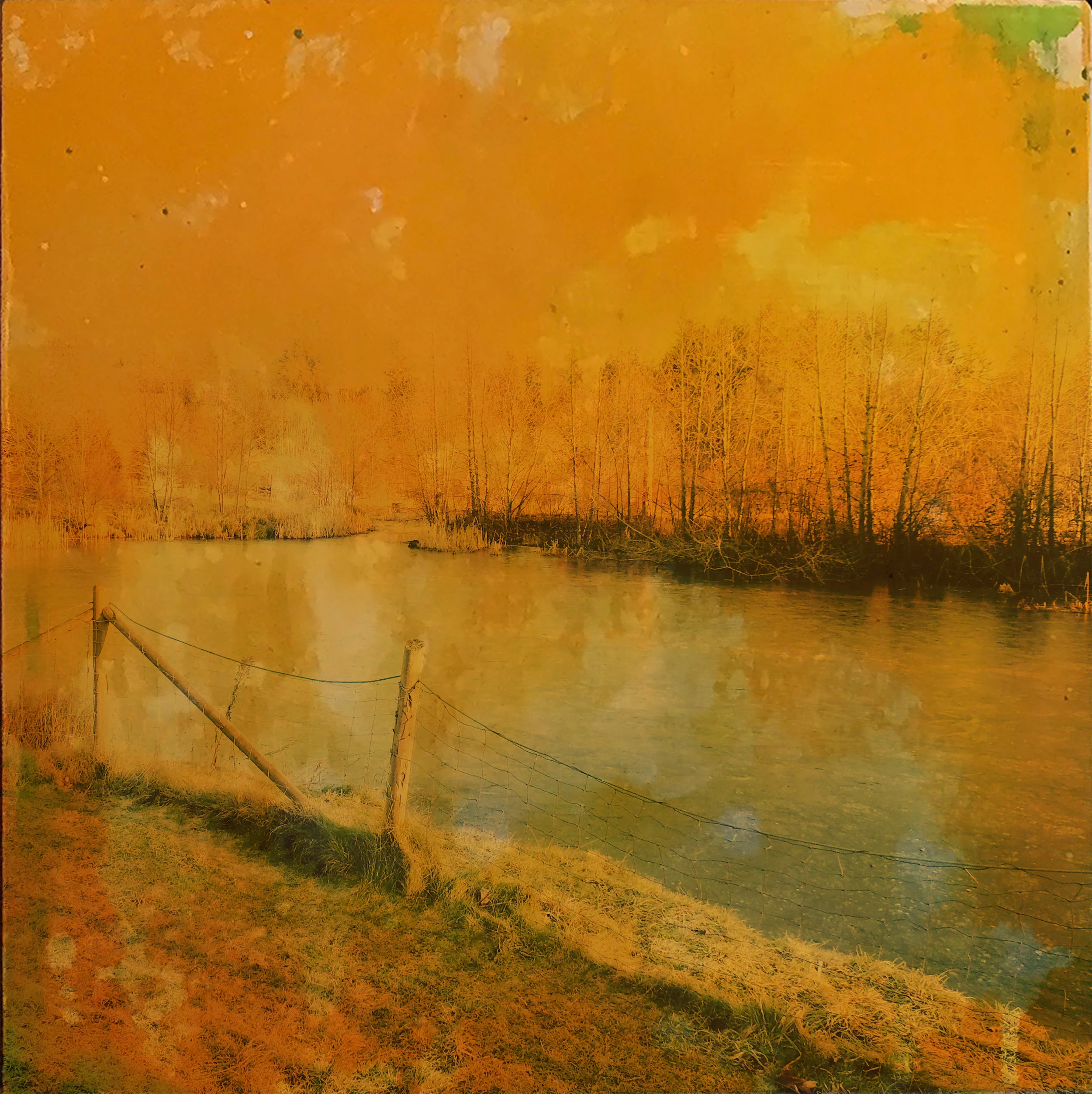 Frozen Sunshine