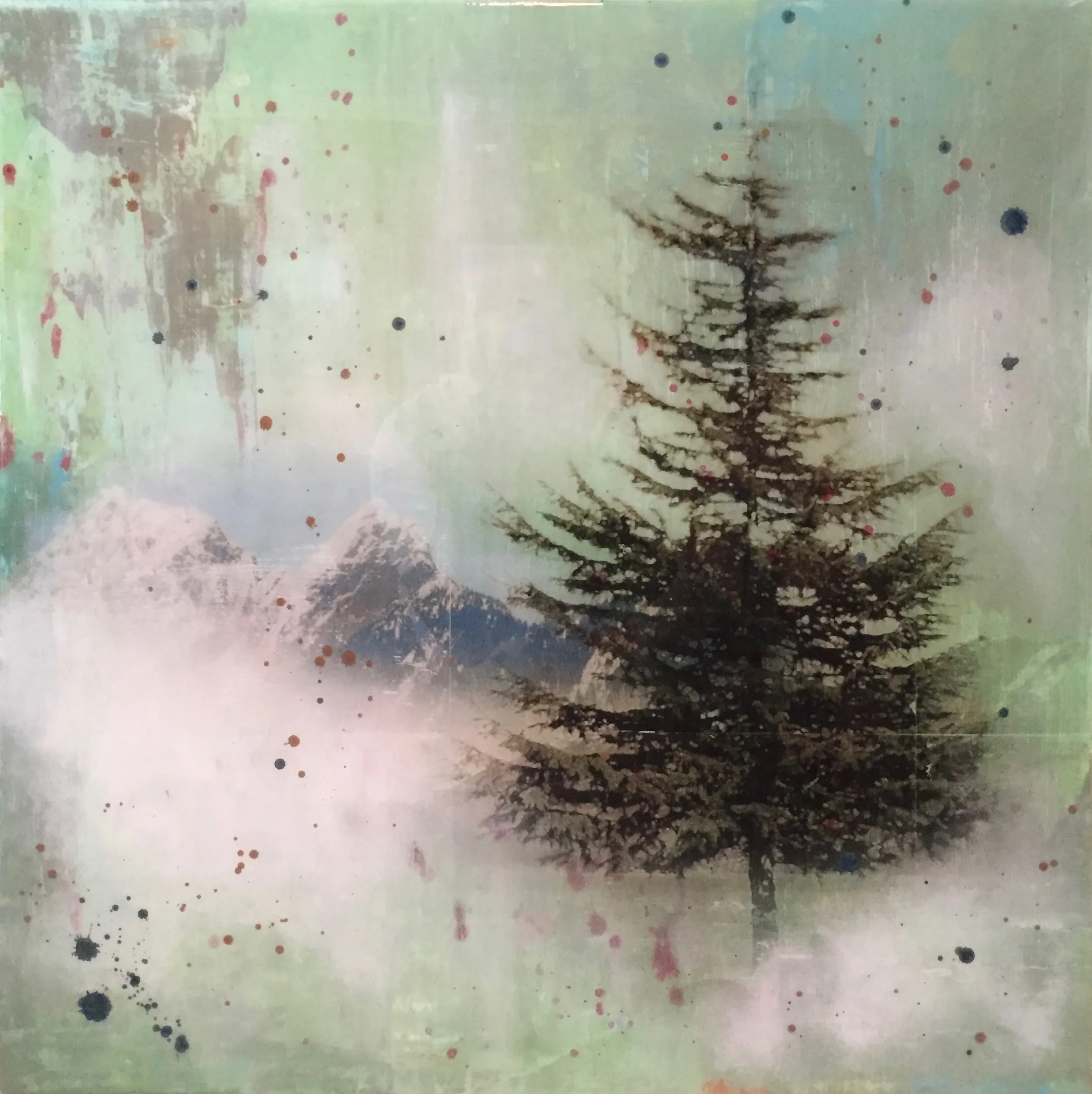 Harrison Tree