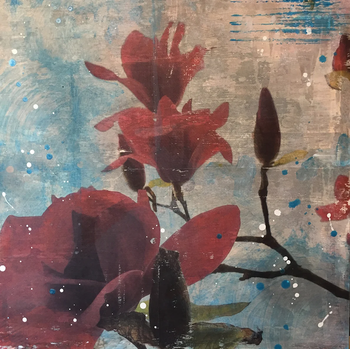 - Blue Magnolia -