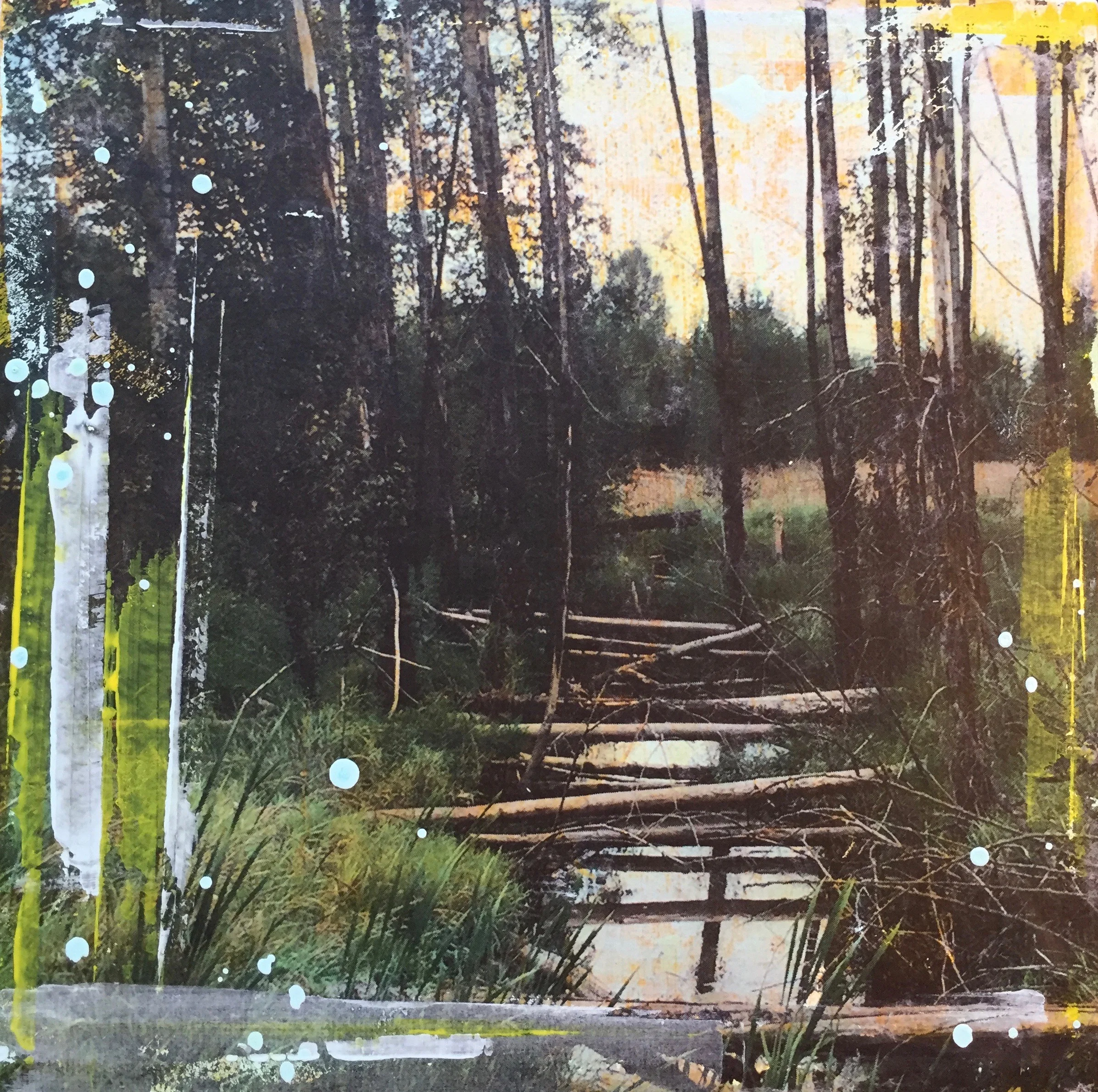 - Fallen Trees -