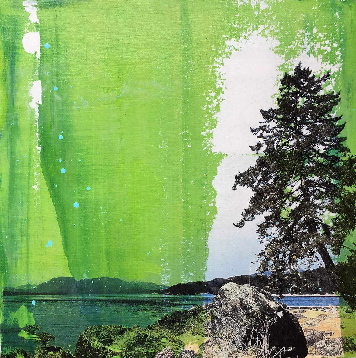 - Beach Tree -