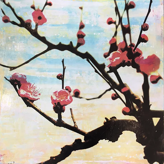 - Cherry Blossoms -